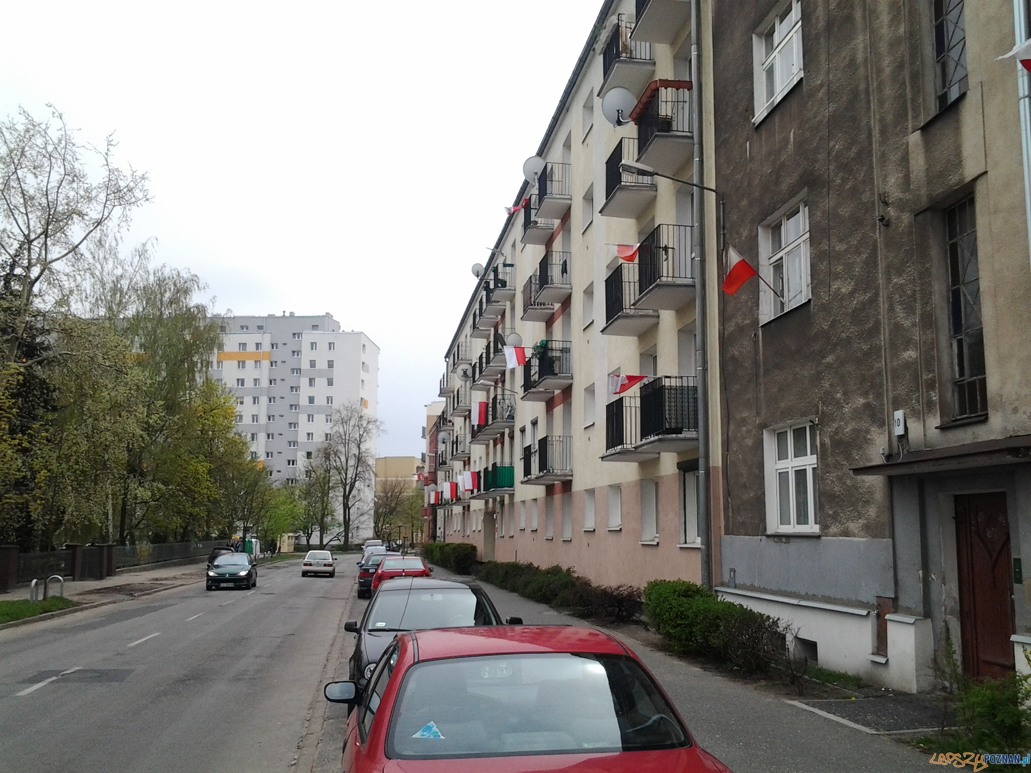 Dzien flagi - 2.05.2013 r. Foto: lepszyPOZNAN.pl / tab Dzien flagi - 2.05.2013 r. Foto: lepszyPOZNAN.pl / tab