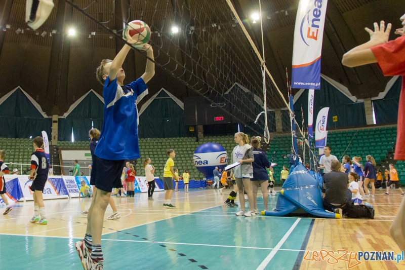Energetyczna Akademia Siatkówki Foto: lepszyPOZNAN.pl / Piotr Rychter Energetyczna Akademia Siatkówki Foto: lepszyPOZNAN.pl / Piotr Rychter