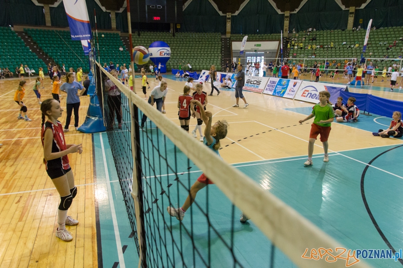 Energetyczna Akademia Siatkówki Foto: lepszyPOZNAN.pl / Piotr Rychter Energetyczna Akademia Siatkówki Foto: lepszyPOZNAN.pl / Piotr Rychter