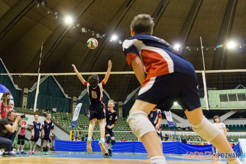 Energetyczna Akademia Siatkówki Foto: lepszyPOZNAN.pl / Piotr Rychter Energetyczna Akademia Siatkówki Foto: lepszyPOZNAN.pl / Piotr Rychter