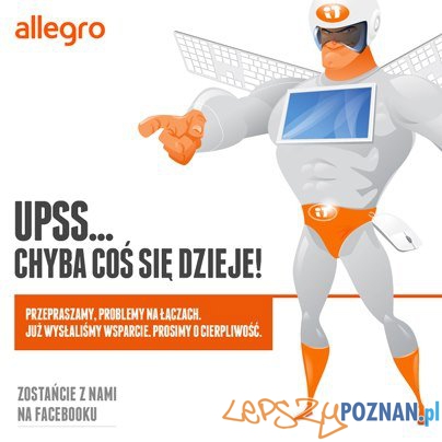 allegro error  Foto: allegro