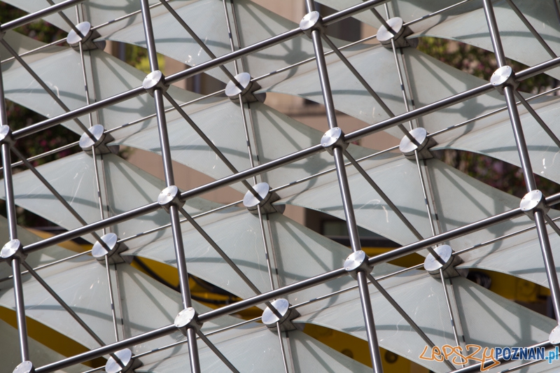 Nieczynna fontanna na placu Wolności Foto: lepszyPOZNAN.pl / Piotr Rychter Nieczynna fontanna na placu Wolności Foto: lepszyPOZNAN.pl / Piotr Rychter