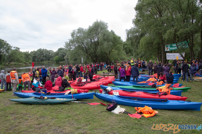 Kajakowa masa krytyczna - przed startem Foto: lepszyPOZNAN.pl / Piotr Rychter Kajakowa masa krytyczna - przed startem Foto: lepszyPOZNAN.pl / Piotr Rychter