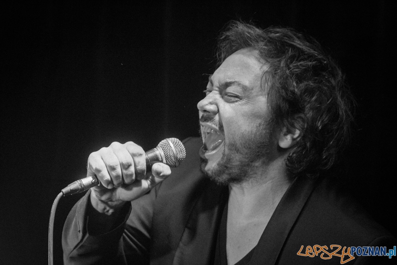 Mietek Szcześniak - Blue Note - 12.05.2013 r. Foto: lepszyPOZNAN.pl / Piotr Rychter Mietek Szcześniak - Blue Note - 12.05.2013 r. Foto: lepszyPOZNAN.pl / Piotr Rychter