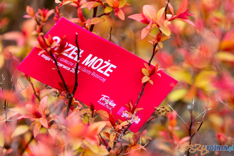 Akcja społeczna - "Orzeł Może" Foto: lepszyPOZNAN.pl / Piotr Rychter Akcja społeczna - "Orzeł Może" Foto: lepszyPOZNAN.pl / Piotr Rychter