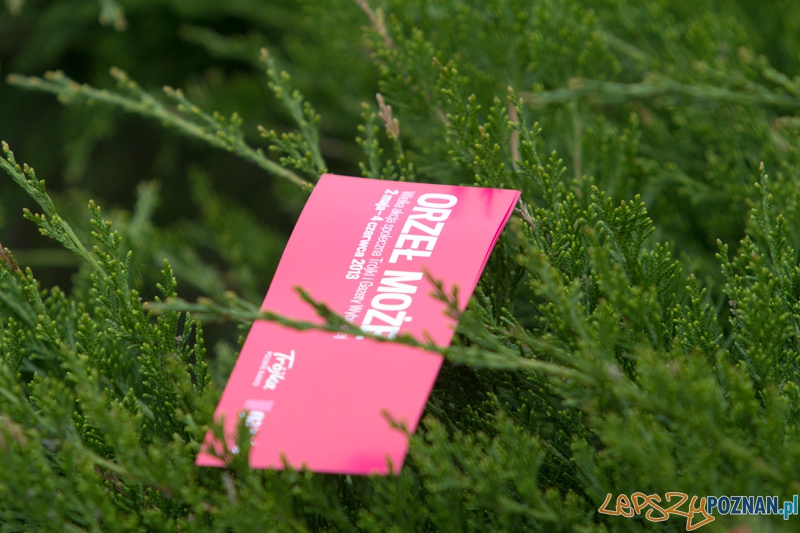 Akcja społeczna - "Orzeł Może" Foto: lepszyPOZNAN.pl / Piotr Rychter Akcja społeczna - "Orzeł Może" Foto: lepszyPOZNAN.pl / Piotr Rychter