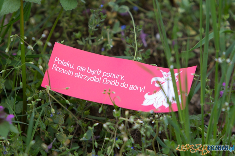 Akcja społeczna - "Orzeł Może" Foto: lepszyPOZNAN.pl / Piotr Rychter Akcja społeczna - "Orzeł Może" Foto: lepszyPOZNAN.pl / Piotr Rychter