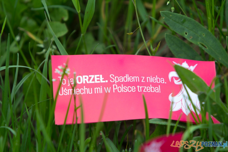 Akcja społeczna - "Orzeł Może" Foto: lepszyPOZNAN.pl / Piotr Rychter Akcja społeczna - "Orzeł Może" Foto: lepszyPOZNAN.pl / Piotr Rychter