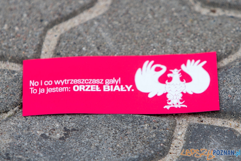 Akcja społeczna - "Orzeł Może" Foto: lepszyPOZNAN.pl / Piotr Rychter Akcja społeczna - "Orzeł Może" Foto: lepszyPOZNAN.pl / Piotr Rychter