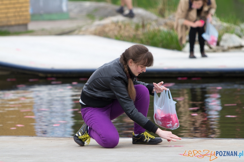 Akcja społeczna - "Orzeł Może" Foto: lepszyPOZNAN.pl / Piotr Rychter Akcja społeczna - "Orzeł Może" Foto: lepszyPOZNAN.pl / Piotr Rychter