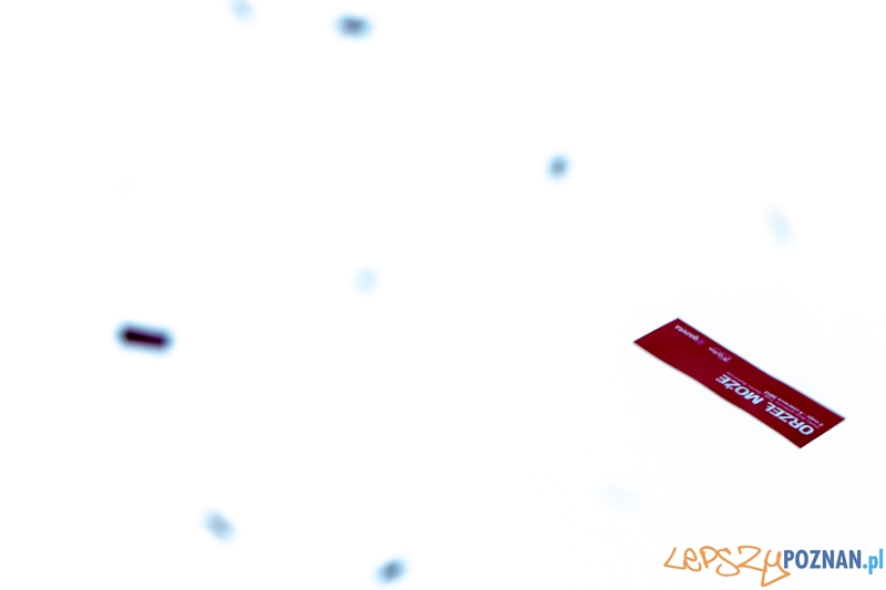 Akcja społeczna - "Orzeł Może" Foto: lepszyPOZNAN.pl / Piotr Rychter Akcja społeczna - "Orzeł Może" Foto: lepszyPOZNAN.pl / Piotr Rychter