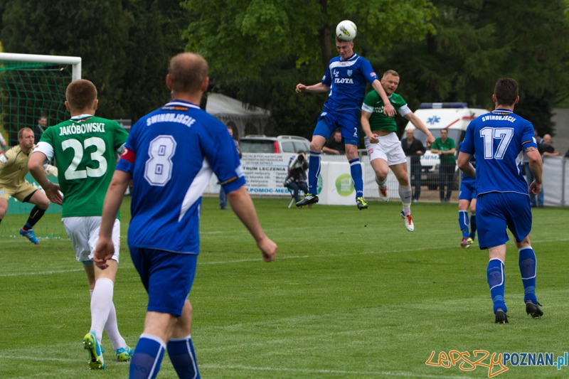 Warta Poznań - Flota Świnoujście Foto: lepszyPOZNAN.pl / Piotr Rychter Warta Poznań - Flota Świnoujście Foto: lepszyPOZNAN.pl / Piotr Rychter