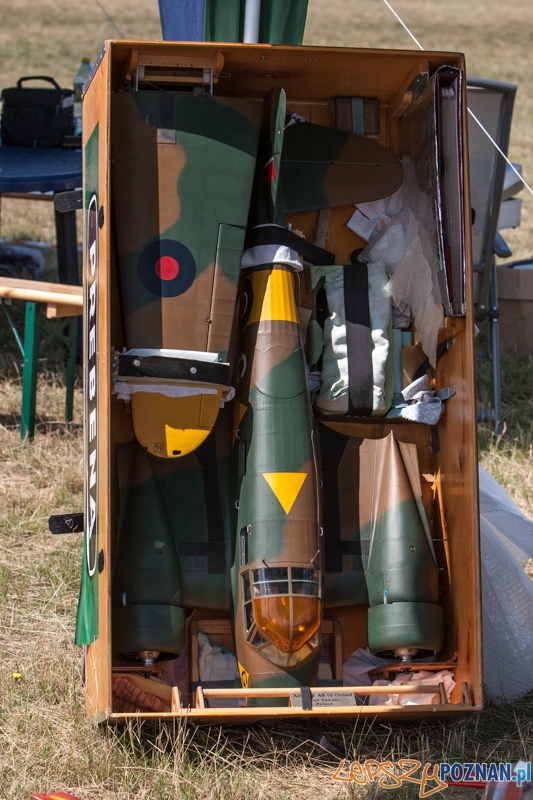 VI Zlot Gigantów - Ligowiec 09.06.2013 r. Foto: LepszyPOZNAN.pl / Paweł Rychter VI Zlot Gigantów - Ligowiec 09.06.2013 r. Foto: LepszyPOZNAN.pl / Paweł Rychter