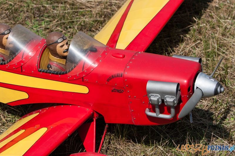 VI Zlot Gigantów - Ligowiec 09.06.2013 r. Foto: LepszyPOZNAN.pl / Paweł Rychter VI Zlot Gigantów - Ligowiec 09.06.2013 r. Foto: LepszyPOZNAN.pl / Paweł Rychter