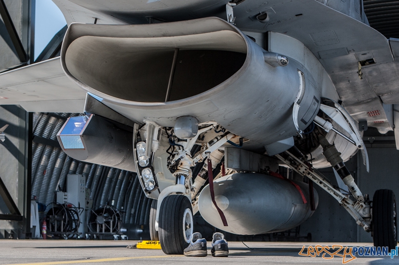 Wylot 6. Eskadry Lotniczej na ćwiczenia Nato w Norwegii - Krzesiny 15.06.2013 r. Foto: LepszyPOZNAN.pl / Paweł Rychter Wylot 6. Eskadry Lotniczej na ćwiczenia Nato w Norwegii - Krzesiny 15.06.2013 r. Foto: LepszyPOZNAN.pl / Paweł Rychter
