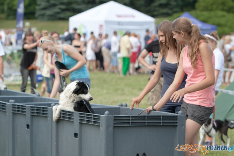 Dog Chow Disc Cup 2013 - Poznań 23.06.2013 r. Foto: LepszyPOZNAN.pl / Paweł Rychter Dog Chow Disc Cup 2013 - Poznań 23.06.2013 r. Foto: LepszyPOZNAN.pl / Paweł Rychter