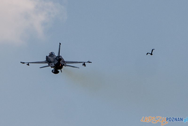 Wylot 6. Eskadry Lotniczej na ćwiczenia Nato w Norwegii - Krzesiny 15.06.2013 r. Foto: LepszyPOZNAN.pl / Paweł Rychter Wylot 6. Eskadry Lotniczej na ćwiczenia Nato w Norwegii - Krzesiny 15.06.2013 r. Foto: LepszyPOZNAN.pl / Paweł Rychter