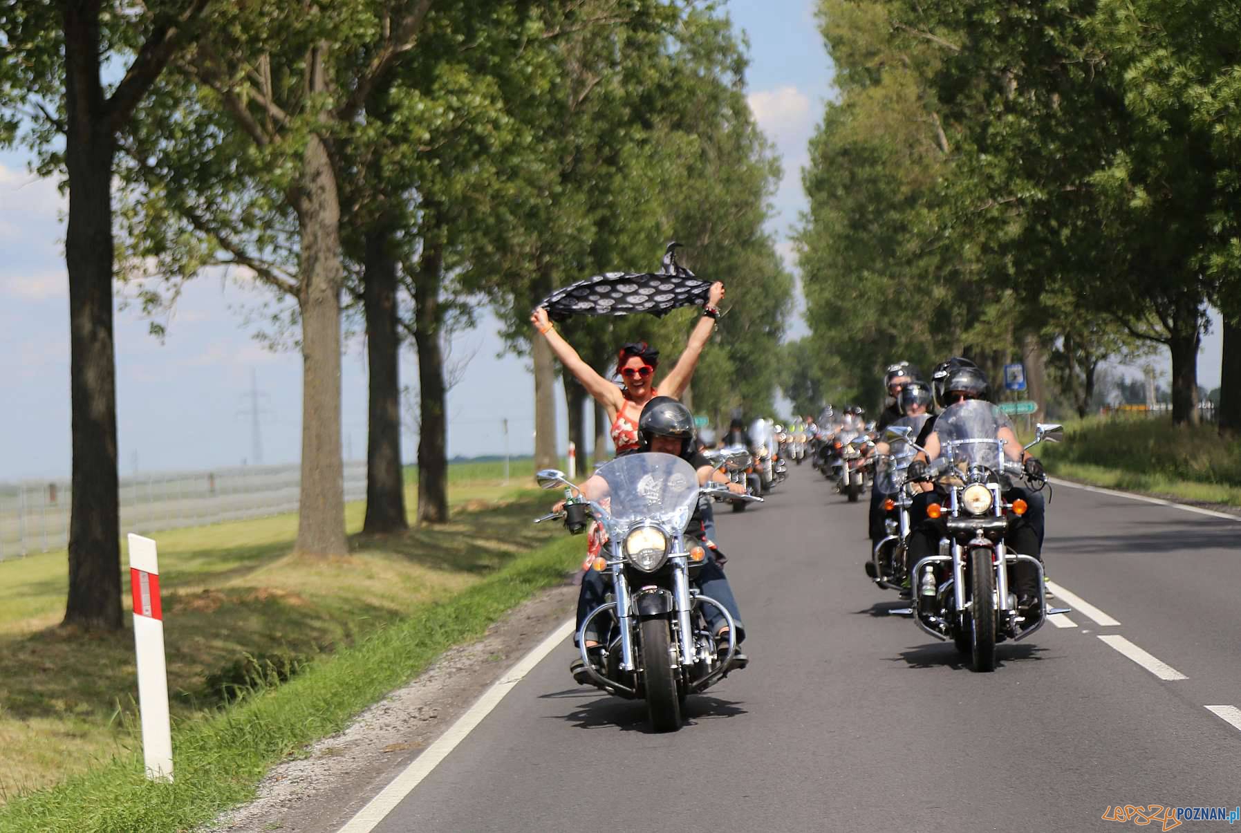 Rock'n'road Rockabilly Festival Foto: Rock'n'road Rockabilly Festival Rock'n'road Rockabilly Festival Foto: Rock'n'road Rockabilly Festival