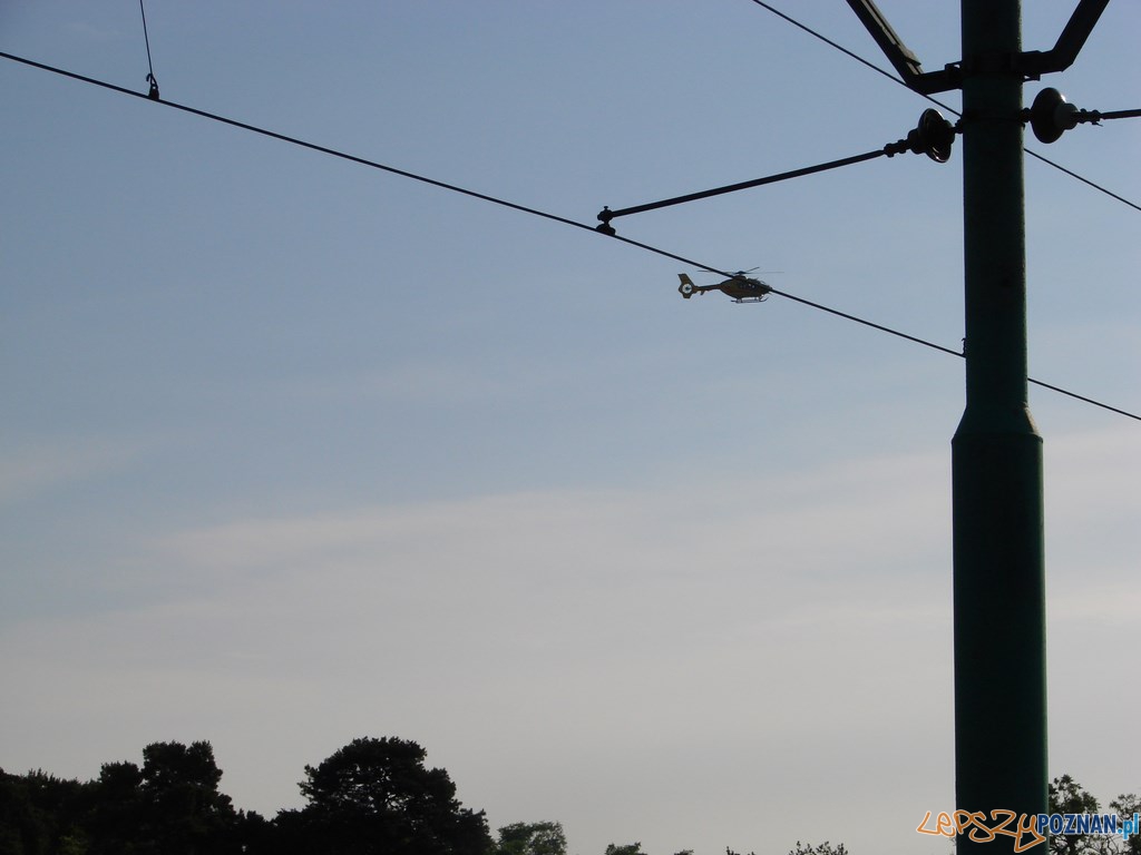 Śmiertelne potrącenie kobiety na Warszawskiej Foto: lepszyPOZNAN.pl / ag Śmiertelne potrącenie kobiety na Warszawskiej Foto: lepszyPOZNAN.pl / ag