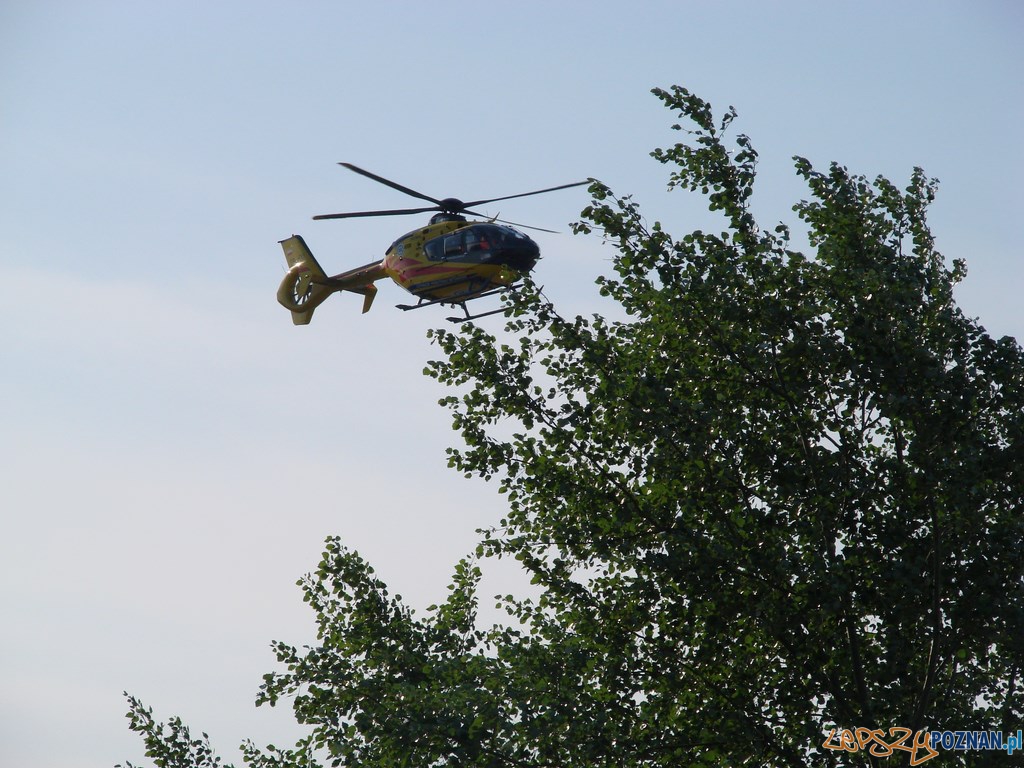Śmiertelne potrącenie kobiety na Warszawskiej Foto: lepszyPOZNAN.pl / ag Śmiertelne potrącenie kobiety na Warszawskiej Foto: lepszyPOZNAN.pl / ag