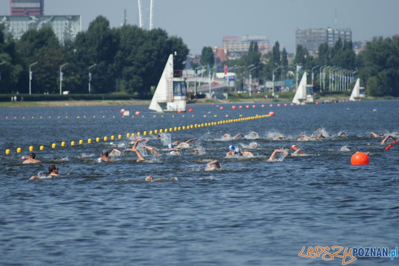 Grand Prix Wielkopolski na Malcie (2012)  Foto: GP w pływaniu długodystansowym/facebook