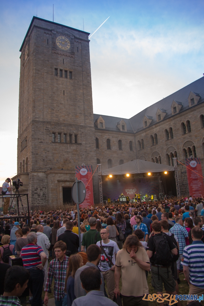 Występ zespołu Dubioza kolektiv (Bośnia i Hercegowina) - EthnoPort 2013 Foto: Bartosz Lewandowski Występ zespołu Dubioza kolektiv (Bośnia i Hercegowina) - EthnoPort 2013 Foto: Bartosz Lewandowski