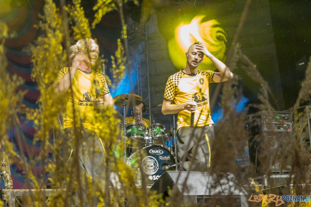 Występ zespołu Dubioza kolektiv (Bośnia i Hercegowina) - EthnoPort 2013 Foto: Bartosz Lewandowski Występ zespołu Dubioza kolektiv (Bośnia i Hercegowina) - EthnoPort 2013 Foto: Bartosz Lewandowski