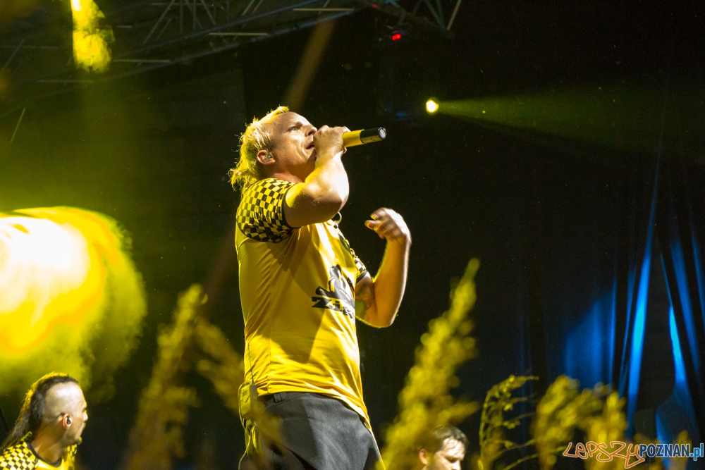 Występ zespołu Dubioza kolektiv (Bośnia i Hercegowina) - EthnoPort 2013 Foto: Bartosz Lewandowski Występ zespołu Dubioza kolektiv (Bośnia i Hercegowina) - EthnoPort 2013 Foto: Bartosz Lewandowski