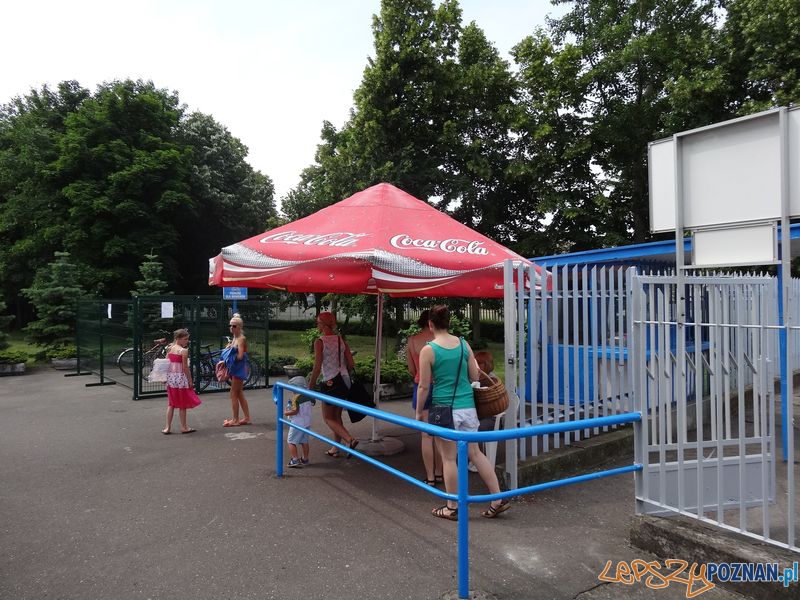 Klatki dla rowerów na Chwiałce (4) Foto: POSiR Klatki dla rowerów na Chwiałce (4) Foto: POSiR