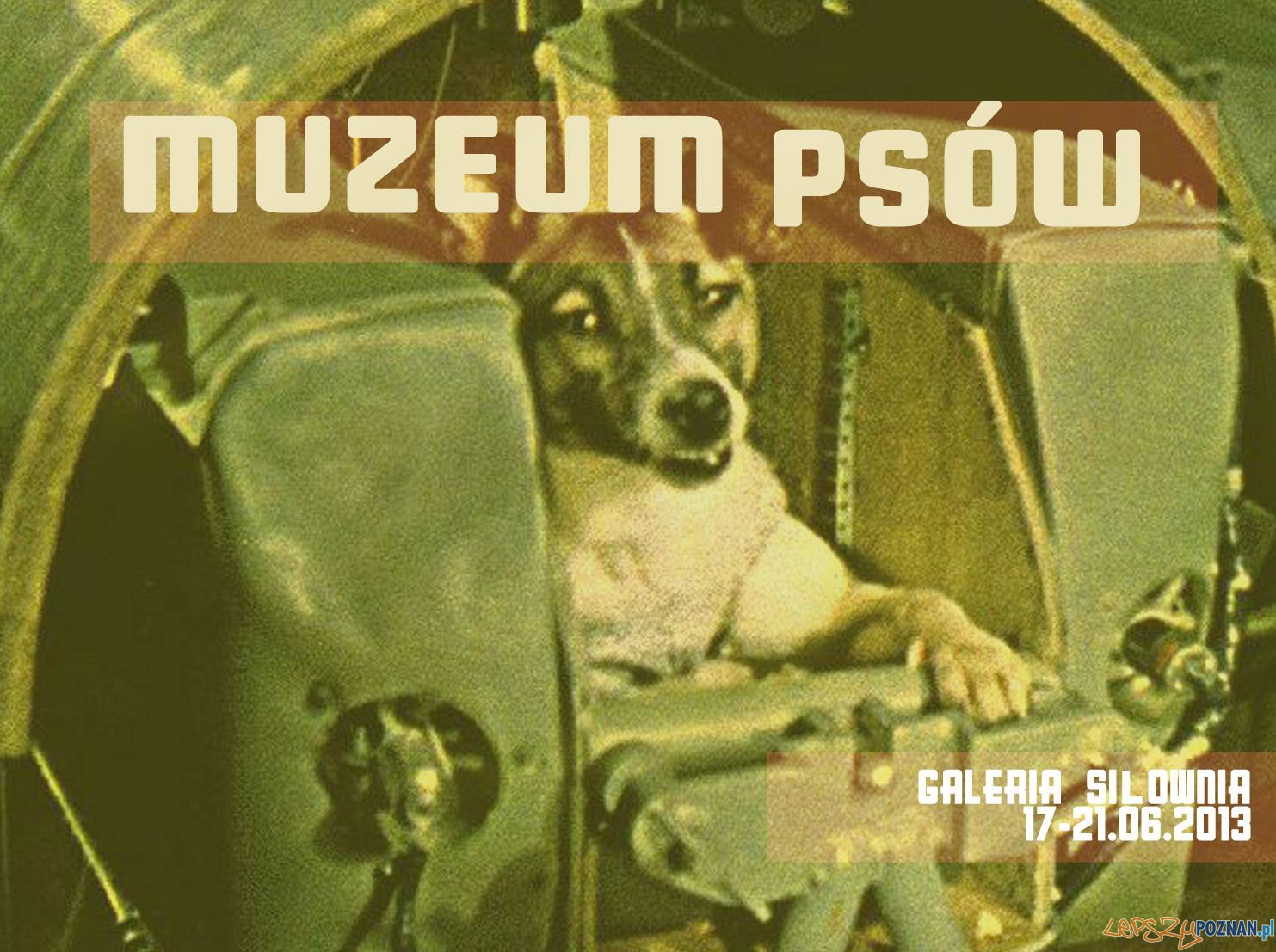 Muzeum Psów Foto: Muzeum Psów Foto: