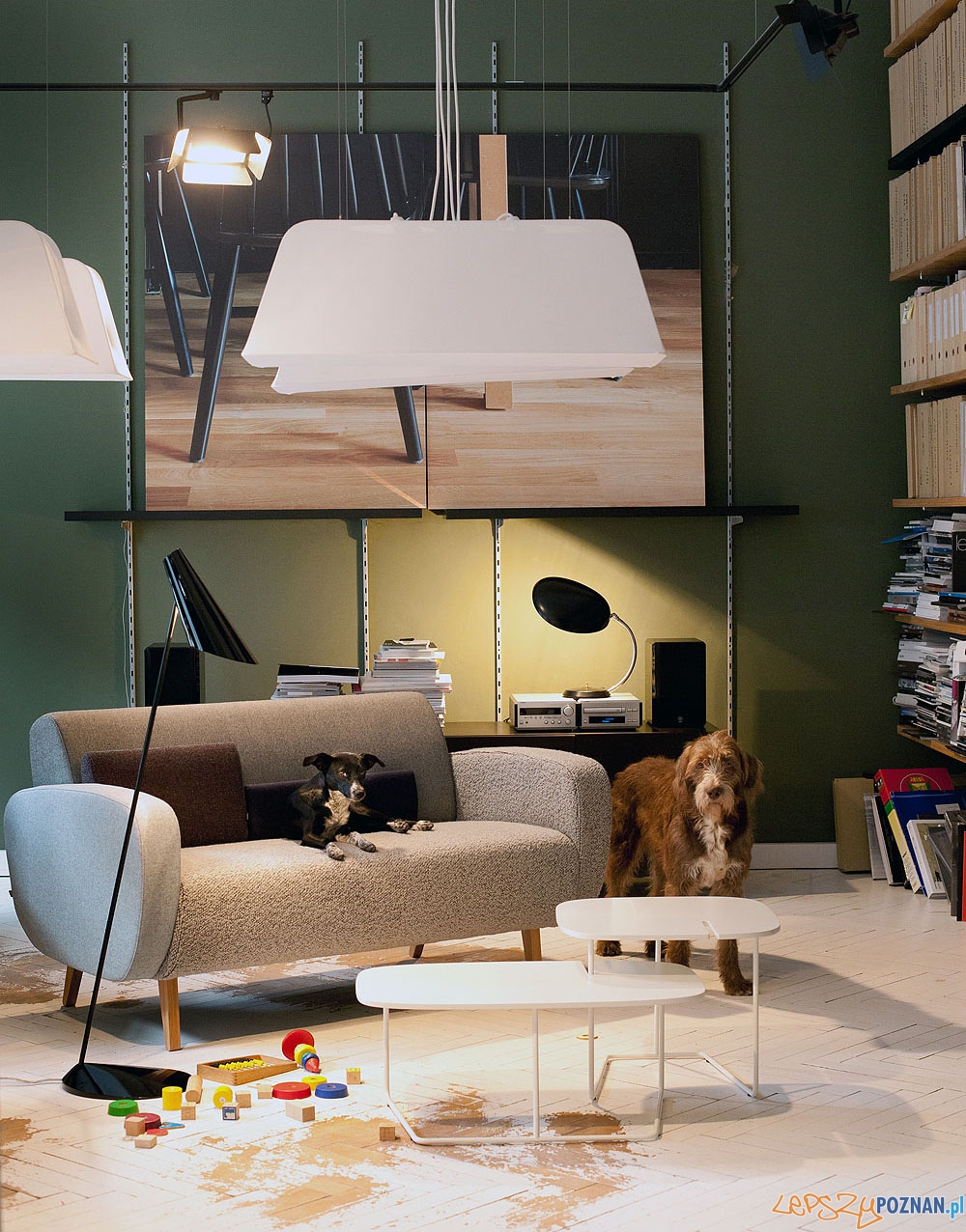 Teddy Bear (3) Foto: Teddy Bear (3) Foto: