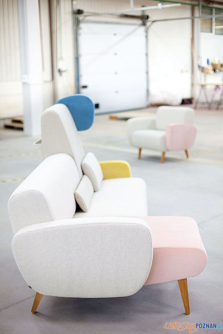 Teddy Bear (9) Foto: Teddy Bear (9) Foto: