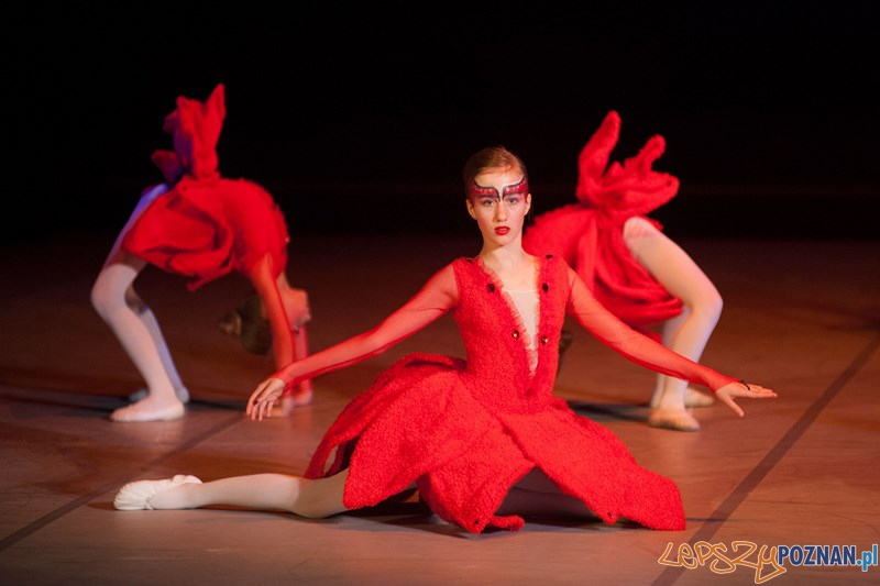 Spektakl Askarian, stroje Tomasza Strabela Foto: Szkola Baletowa Anny Niedzwiedz 2013 Spektakl Askarian, stroje Tomasza Strabela Foto: Szkola Baletowa Anny Niedzwiedz 2013