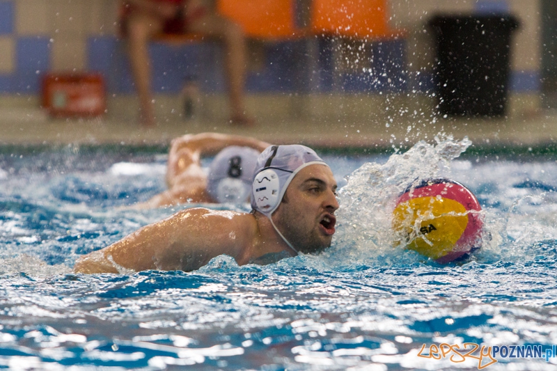 9 runda Mistrzostw Polski Seniorów w piłce wodnej - Alstal Waterpolo Poznań - ŁSTW Uniwersytet Łódzki Foto: lepszyPOZNAN.pl / Piotr Rychter 9 runda Mistrzostw Polski Seniorów w piłce wodnej - Alstal Waterpolo Poznań - ŁSTW Uniwersytet Łódzki Foto: lepszyPOZNAN.pl / Piotr Rychter
