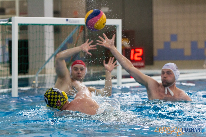 9 runda Mistrzostw Polski Seniorów w piłce wodnej - Alstal Waterpolo Poznań - ŁSTW Uniwersytet Łódzki Foto: lepszyPOZNAN.pl / Piotr Rychter 9 runda Mistrzostw Polski Seniorów w piłce wodnej - Alstal Waterpolo Poznań - ŁSTW Uniwersytet Łódzki Foto: lepszyPOZNAN.pl / Piotr Rychter