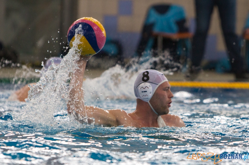 9 runda Mistrzostw Polski Seniorów w piłce wodnej - Alstal Waterpolo Poznań - ŁSTW Uniwersytet Łódzki Foto: lepszyPOZNAN.pl / Piotr Rychter 9 runda Mistrzostw Polski Seniorów w piłce wodnej - Alstal Waterpolo Poznań - ŁSTW Uniwersytet Łódzki Foto: lepszyPOZNAN.pl / Piotr Rychter