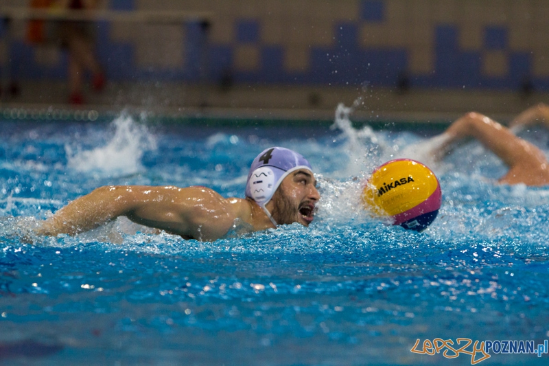 Alstal Waterpolo Poznań - ŁSTW Uniwersytet Łódzki, Termy Maltańskie 8.06.2013 r. Foto: lepszyPOZNAN.pl / Piotr Rychter Alstal Waterpolo Poznań - ŁSTW Uniwersytet Łódzki, Termy Maltańskie 8.06.2013 r. Foto: lepszyPOZNAN.pl / Piotr Rychter