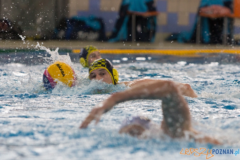 9 runda Mistrzostw Polski Seniorów w piłce wodnej - Alstal Waterpolo Poznań - ŁSTW Uniwersytet Łódzki Foto: lepszyPOZNAN.pl / Piotr Rychter 9 runda Mistrzostw Polski Seniorów w piłce wodnej - Alstal Waterpolo Poznań - ŁSTW Uniwersytet Łódzki Foto: lepszyPOZNAN.pl / Piotr Rychter