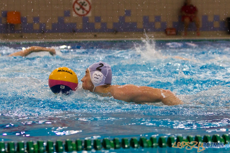 Alstal Waterpolo Poznań - ŁSTW Uniwersytet Łódzki, Termy Maltańskie 8.06.2013 r. Foto: lepszyPOZNAN.pl / Piotr Rychter Alstal Waterpolo Poznań - ŁSTW Uniwersytet Łódzki, Termy Maltańskie 8.06.2013 r. Foto: lepszyPOZNAN.pl / Piotr Rychter