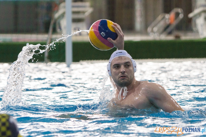 9 runda Mistrzostw Polski Seniorów w piłce wodnej - Alstal Waterpolo Poznań - ŁSTW Uniwersytet Łódzki Foto: lepszyPOZNAN.pl / Piotr Rychter 9 runda Mistrzostw Polski Seniorów w piłce wodnej - Alstal Waterpolo Poznań - ŁSTW Uniwersytet Łódzki Foto: lepszyPOZNAN.pl / Piotr Rychter