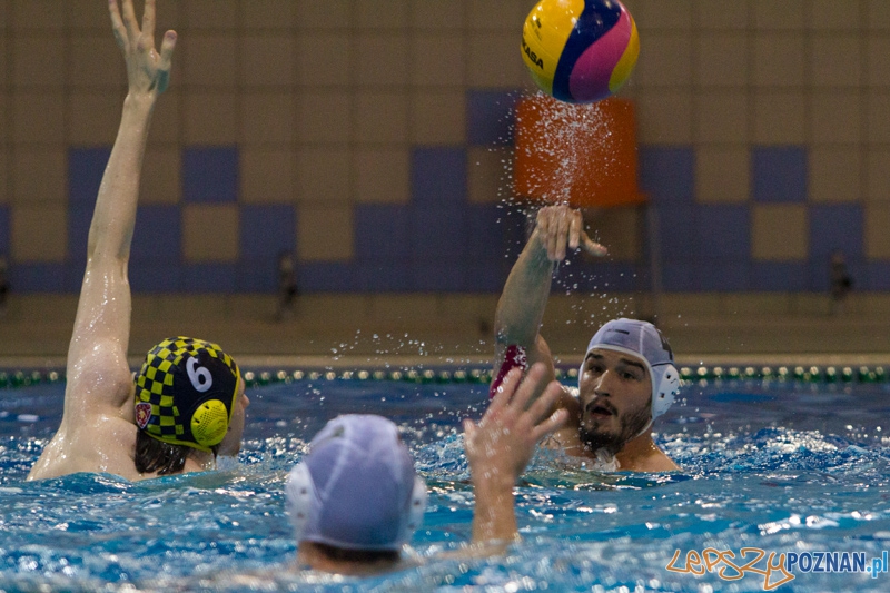 Alstal Waterpolo Poznań - ŁSTW Uniwersytet Łódzki, Termy Maltańskie 8.06.2013 r. Foto: lepszyPOZNAN.pl / Piotr Rychter Alstal Waterpolo Poznań - ŁSTW Uniwersytet Łódzki, Termy Maltańskie 8.06.2013 r. Foto: lepszyPOZNAN.pl / Piotr Rychter