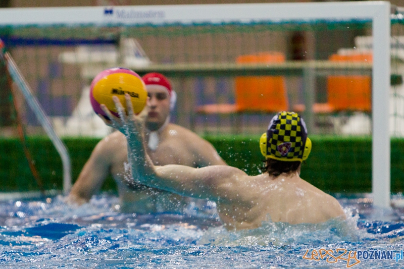 Alstal Waterpolo Poznań - ŁSTW Uniwersytet Łódzki, Termy Maltańskie 8.06.2013 r. Foto: lepszyPOZNAN.pl / Piotr Rychter Alstal Waterpolo Poznań - ŁSTW Uniwersytet Łódzki, Termy Maltańskie 8.06.2013 r. Foto: lepszyPOZNAN.pl / Piotr Rychter