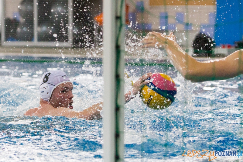 9 runda Mistrzostw Polski Seniorów w piłce wodnej - Alstal Waterpolo Poznań - ŁSTW Uniwersytet Łódzki Foto: lepszyPOZNAN.pl / Piotr Rychter 9 runda Mistrzostw Polski Seniorów w piłce wodnej - Alstal Waterpolo Poznań - ŁSTW Uniwersytet Łódzki Foto: lepszyPOZNAN.pl / Piotr Rychter
