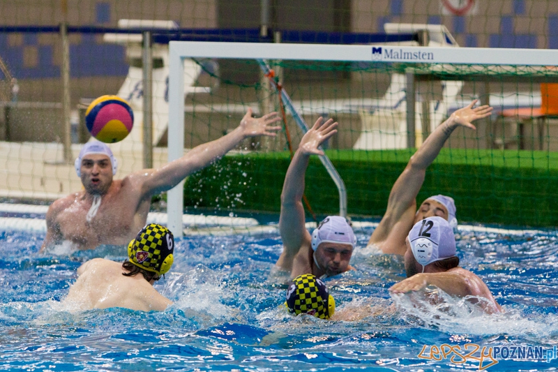 Alstal Waterpolo Poznań - ŁSTW Uniwersytet Łódzki, Termy Maltańskie 8.06.2013 r. Foto: lepszyPOZNAN.pl / Piotr Rychter Alstal Waterpolo Poznań - ŁSTW Uniwersytet Łódzki, Termy Maltańskie 8.06.2013 r. Foto: lepszyPOZNAN.pl / Piotr Rychter
