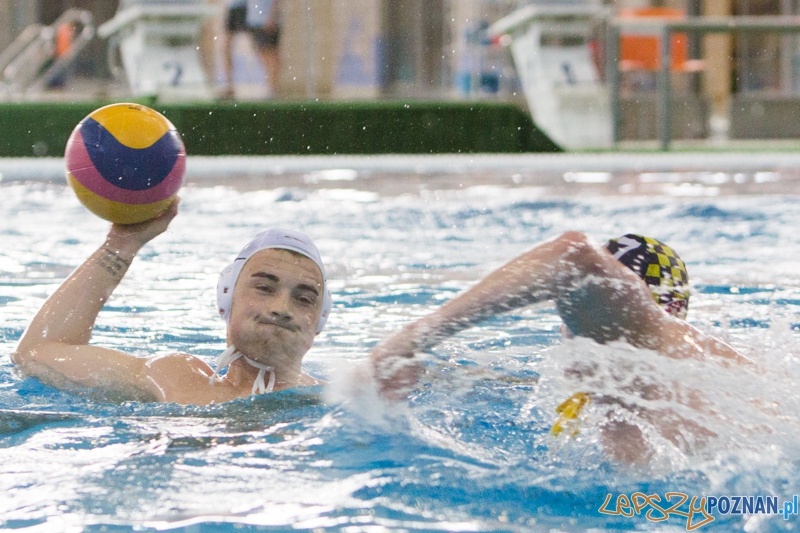 9 runda Mistrzostw Polski Seniorów w piłce wodnej - Alstal Waterpolo Poznań - ŁSTW Uniwersytet Łódzki Foto: lepszyPOZNAN.pl / Piotr Rychter 9 runda Mistrzostw Polski Seniorów w piłce wodnej - Alstal Waterpolo Poznań - ŁSTW Uniwersytet Łódzki Foto: lepszyPOZNAN.pl / Piotr Rychter
