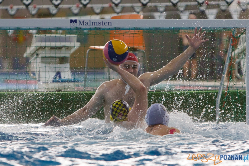 9 runda Mistrzostw Polski Seniorów w piłce wodnej - Alstal Waterpolo Poznań - ŁSTW Uniwersytet Łódzki Foto: lepszyPOZNAN.pl / Piotr Rychter 9 runda Mistrzostw Polski Seniorów w piłce wodnej - Alstal Waterpolo Poznań - ŁSTW Uniwersytet Łódzki Foto: lepszyPOZNAN.pl / Piotr Rychter