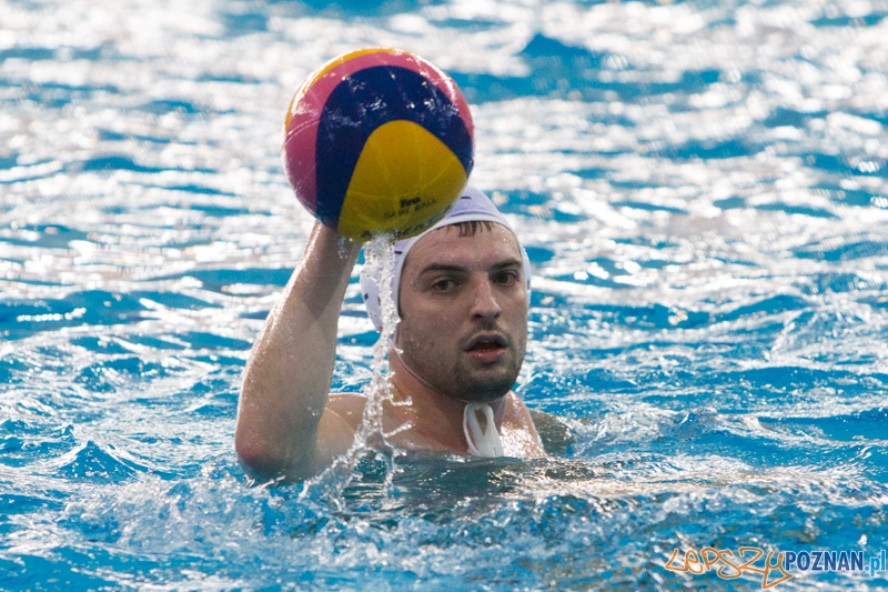 9 runda Mistrzostw Polski Seniorów w piłce wodnej - Alstal Waterpolo Poznań - ŁSTW Uniwersytet Łódzki Foto: lepszyPOZNAN.pl / Piotr Rychter 9 runda Mistrzostw Polski Seniorów w piłce wodnej - Alstal Waterpolo Poznań - ŁSTW Uniwersytet Łódzki Foto: lepszyPOZNAN.pl / Piotr Rychter