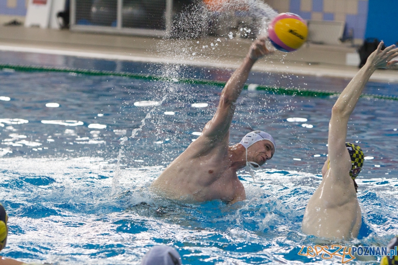 9 runda Mistrzostw Polski Seniorów w piłce wodnej - Alstal Waterpolo Poznań - ŁSTW Uniwersytet Łódzki Foto: lepszyPOZNAN.pl / Piotr Rychter 9 runda Mistrzostw Polski Seniorów w piłce wodnej - Alstal Waterpolo Poznań - ŁSTW Uniwersytet Łódzki Foto: lepszyPOZNAN.pl / Piotr Rychter