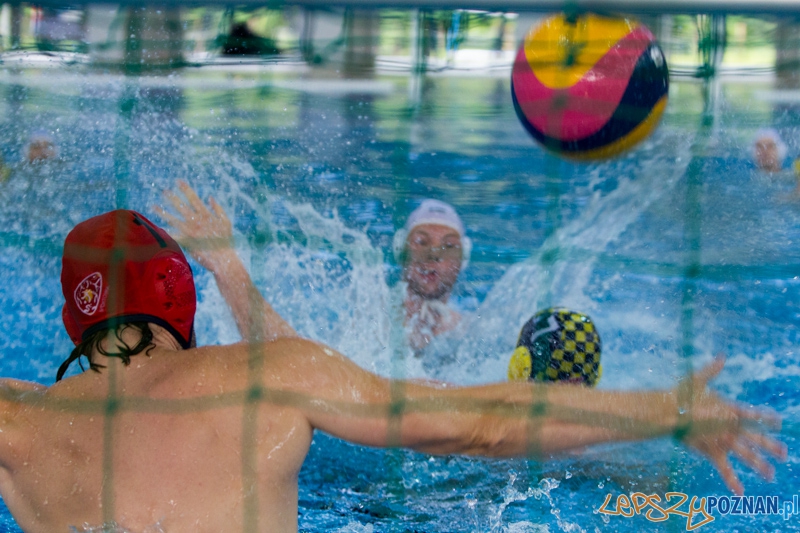 9 runda Mistrzostw Polski Seniorów w piłce wodnej - Alstal Waterpolo Poznań - ŁSTW Uniwersytet Łódzki Foto: lepszyPOZNAN.pl / Piotr Rychter 9 runda Mistrzostw Polski Seniorów w piłce wodnej - Alstal Waterpolo Poznań - ŁSTW Uniwersytet Łódzki Foto: lepszyPOZNAN.pl / Piotr Rychter