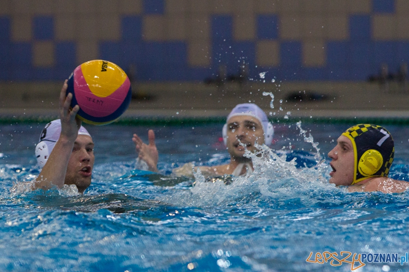 Alstal Waterpolo Poznań - ŁSTW Uniwersytet Łódzki, Termy Maltańskie 8.06.2013 r. Foto: lepszyPOZNAN.pl / Piotr Rychter Alstal Waterpolo Poznań - ŁSTW Uniwersytet Łódzki, Termy Maltańskie 8.06.2013 r. Foto: lepszyPOZNAN.pl / Piotr Rychter
